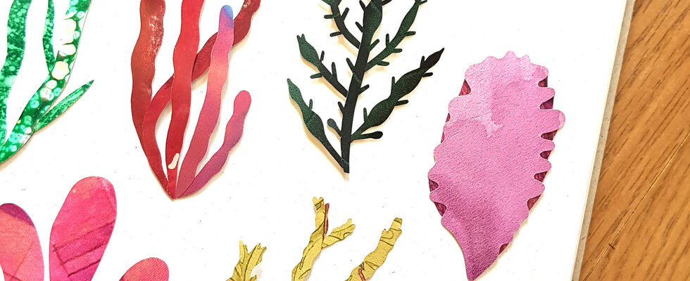 Seaweed Collage