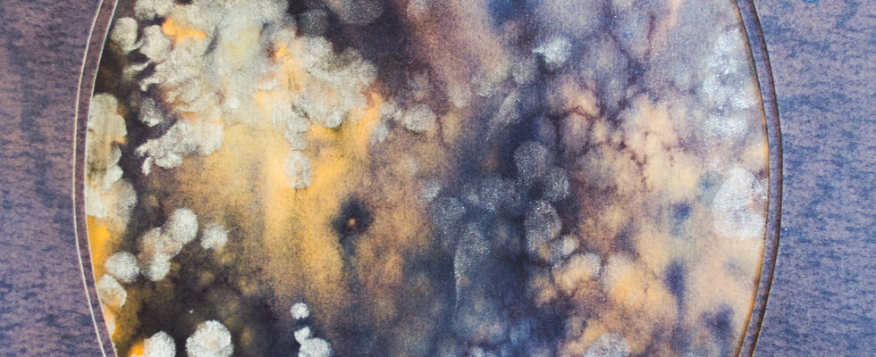 The Still Presence I