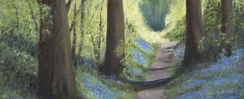 Bluebells below British Camp