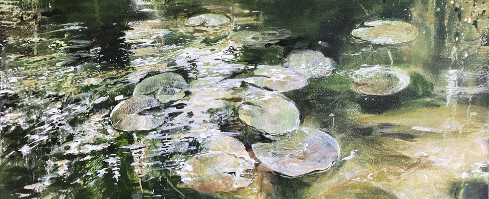 Nymphaea