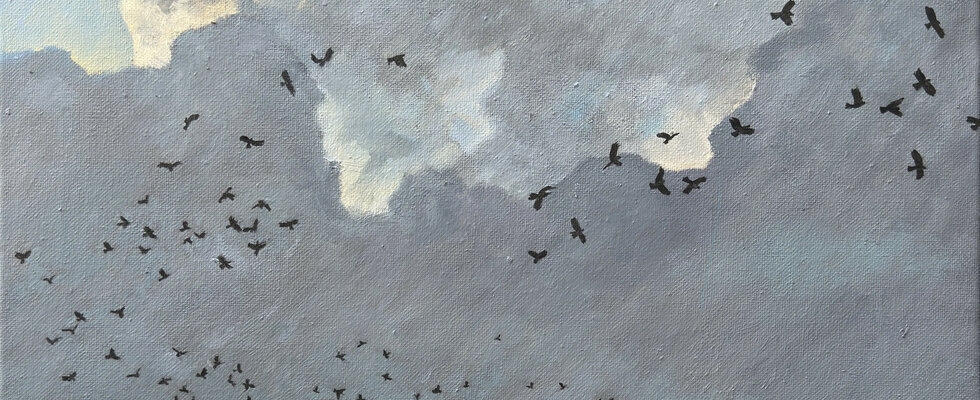 Winter Rooks