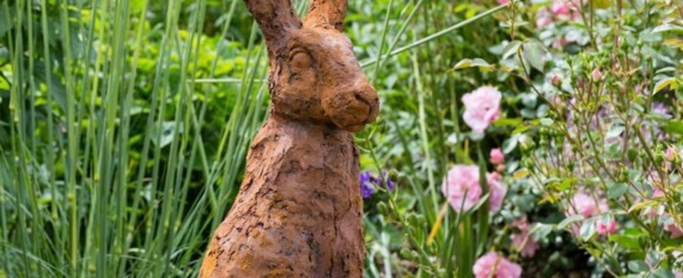 Listening Hare