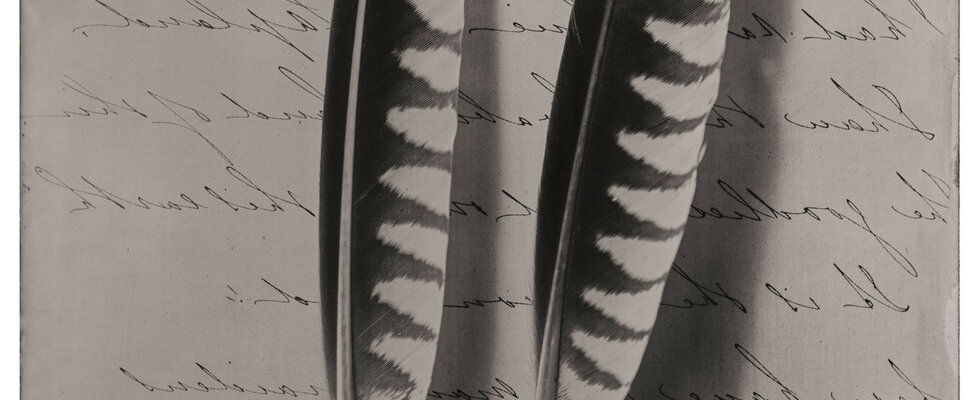 Two Feathers