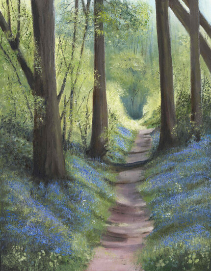 Bluebells below British Camp