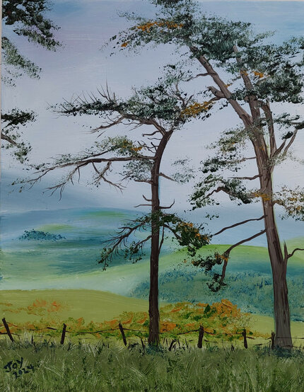 Scots Pines on Offa's Dyke